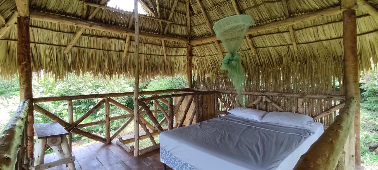 Palapa Hostel Transito Kültér fotó