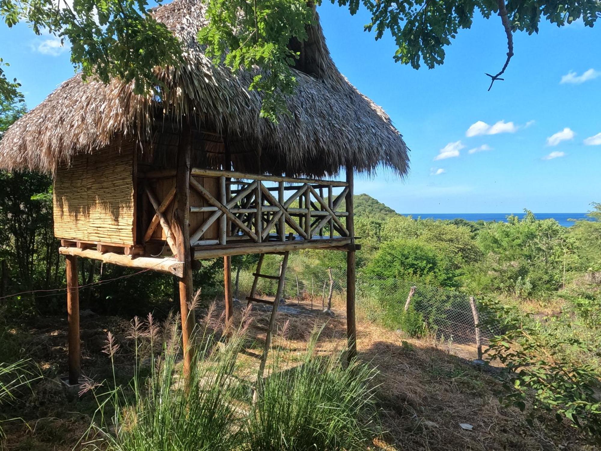 Palapa Hostel Transito Kültér fotó