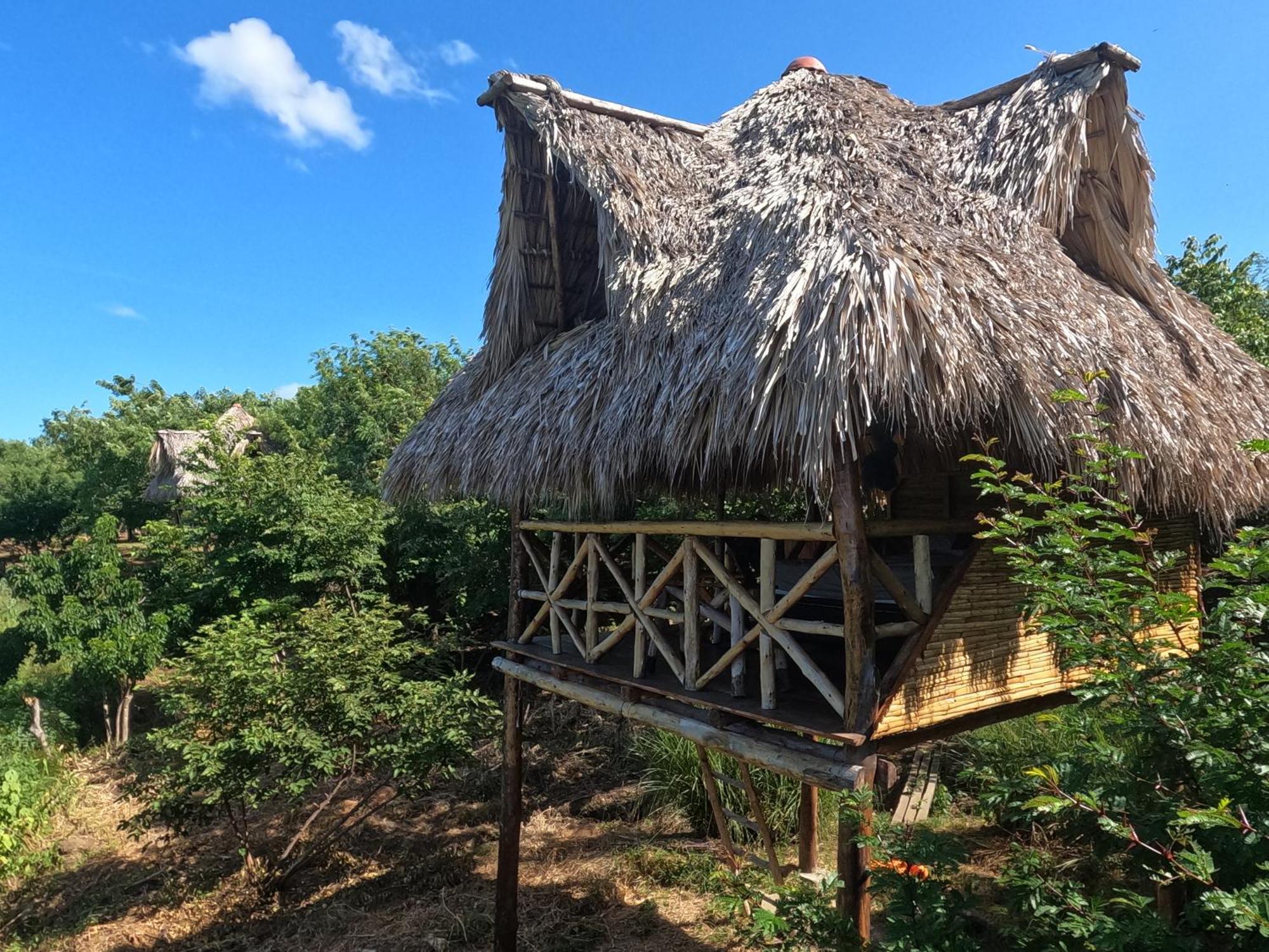 Palapa Hostel Transito Kültér fotó