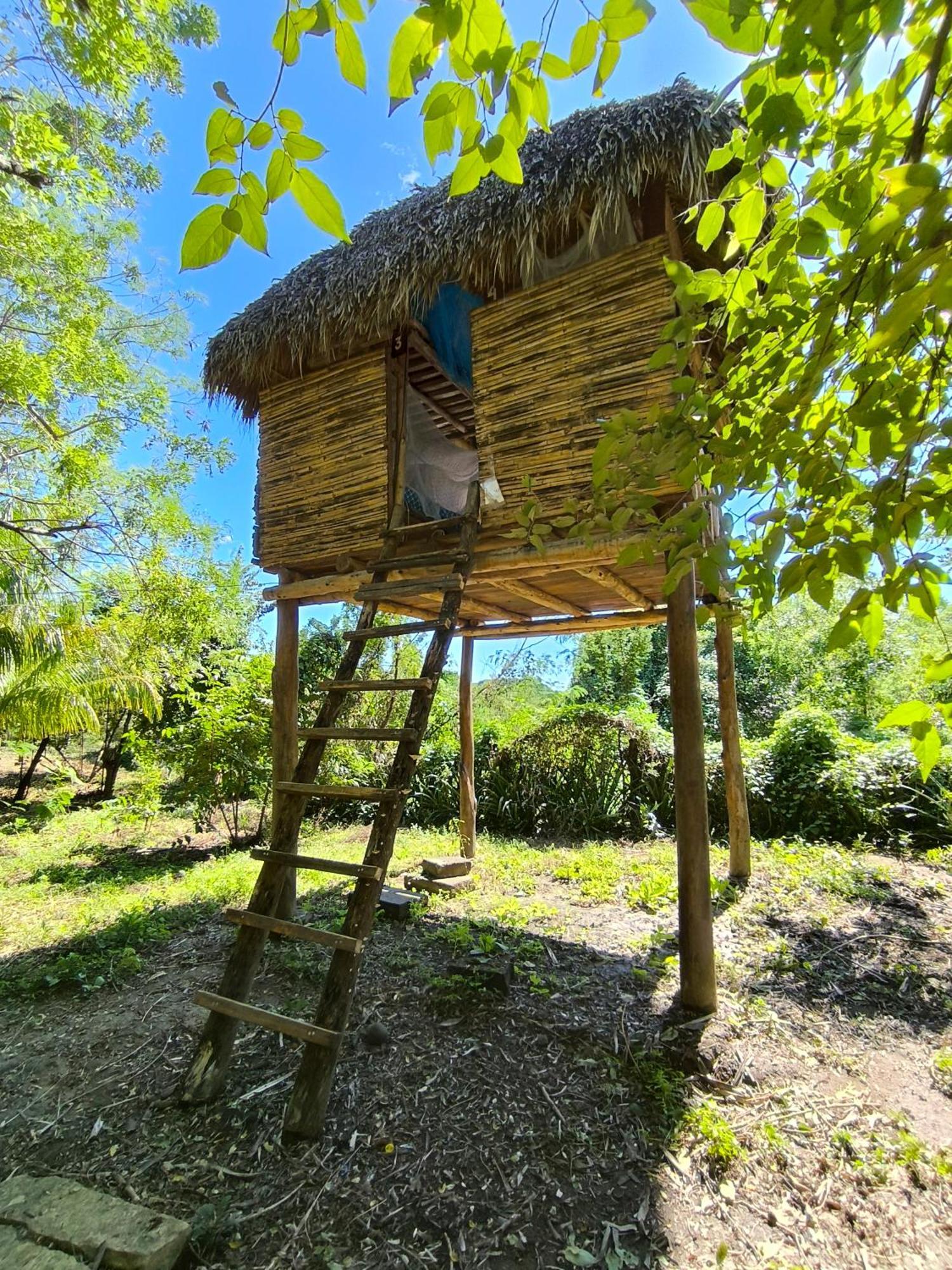 Palapa Hostel Transito Kültér fotó